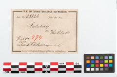 Etikett zu Bronzetutulusscheibenfibel (NHMW-PRAE-025122)